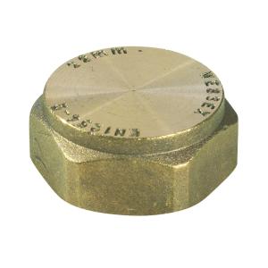 Compression Ftg Blank Capnut 22mm 63B