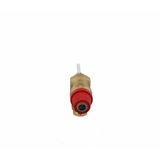 Range TS202 Temperature and Pressure Relief Valve
