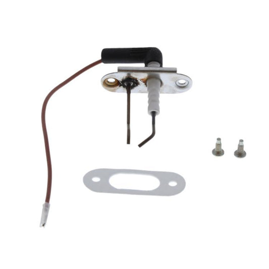 Saunier 0020018434 Electrode + Screw + Gasket