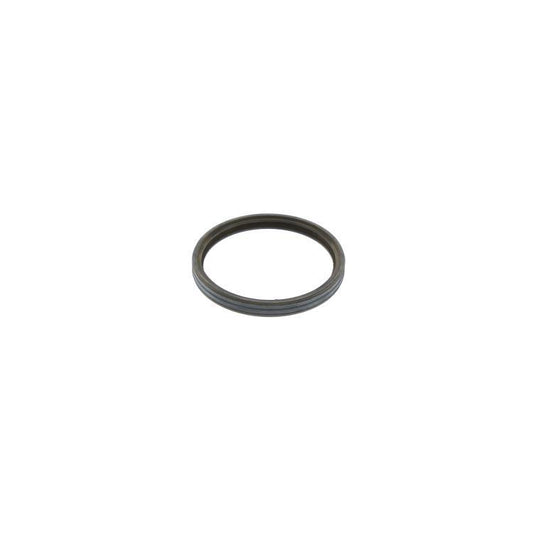 Alpha Flue 'S'eal 1.021483