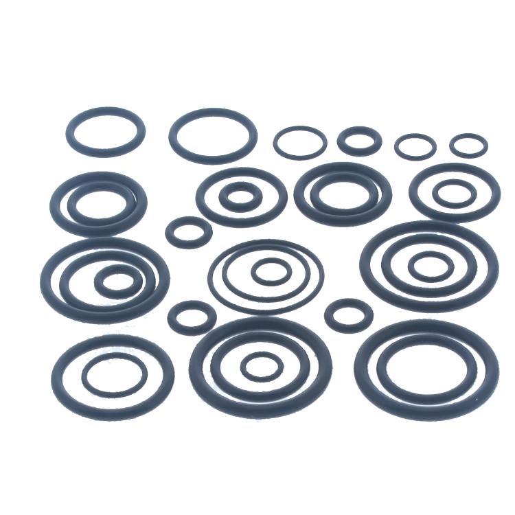 Worc 77161922390 O-ring - Pack