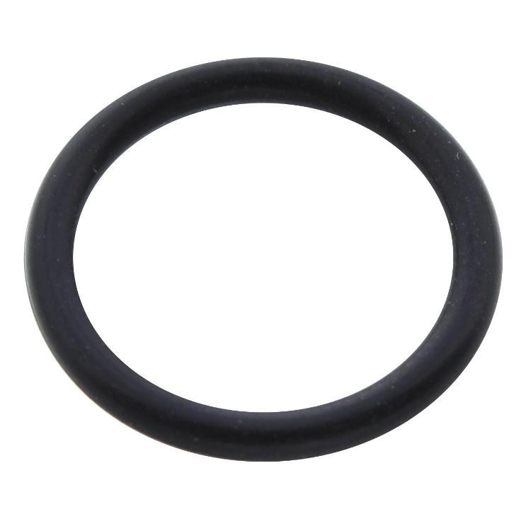 Biasi BI1001115 Ring Gasket 1.78 x 12.42BYPASS