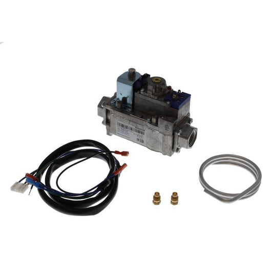 Andrew Hi-Flo Auto Igintion Gas Valve Z090