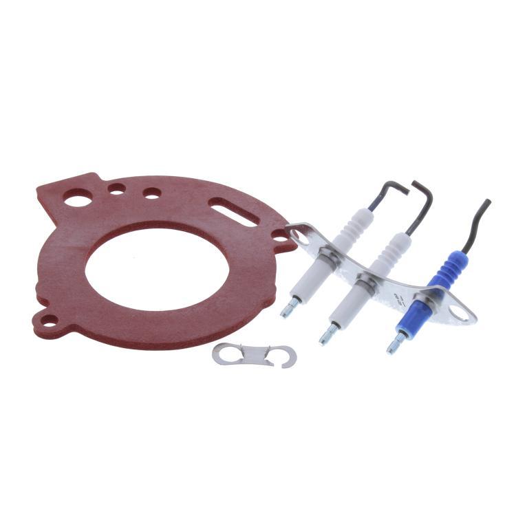 Worcester 87376007950 Electrodes & Gasket