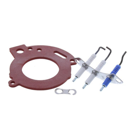 Worcester 87376007950 Electrodes & Gasket