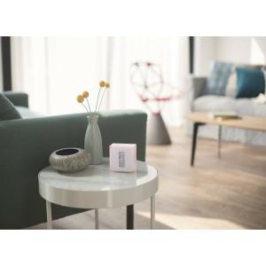 Netatmo Smart Thermostat By Phillippe Starck