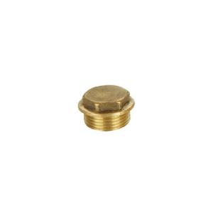 Brass Flanged Plug 1 1/4 Inch