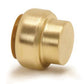 Tectite Classic Push Fit Stop End 22 mm