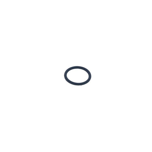 Main 5110971 O - Ring