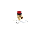 Worcester Bosch Pressure Relief Valve 312438 87161424040