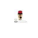 Worcester Bosch Pressure Relief Valve 312438 87161424040