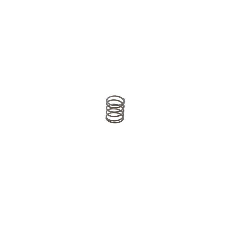 Biasi BI1011110 C/H Pressure Switchspring