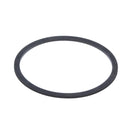 Biasi BI1172113 Pump Gasket Front