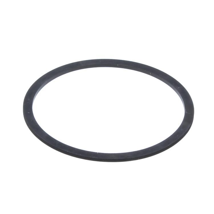 Biasi BI1172113 Pump Gasket Front