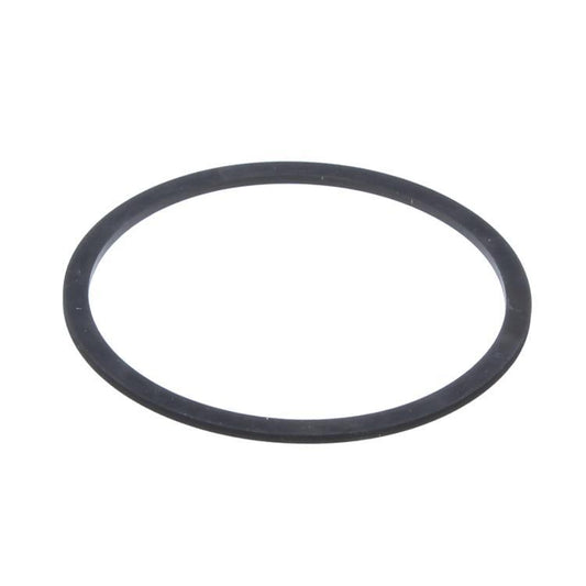 Biasi BI1172113 Pump Gasket Front