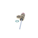 Ideal 173202 Valve-temp & Pressurerelie