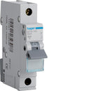 Hager MTN140 1P 6KA B-40A 1m B Type MCB