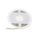 5 Metre LED Strip - Cool White