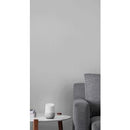 Google Nest Home Smart Speaker