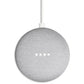 Google Nest Outdoor Camera & Google Nest Mini